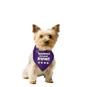 Obedience School Dropout by Dog Fashion Living
