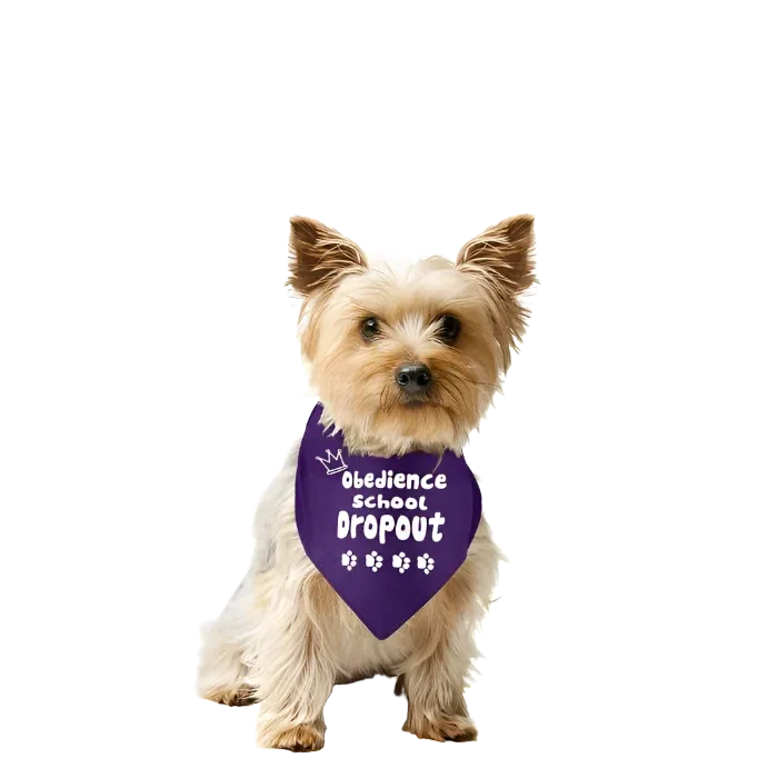 Obedience School Dropout by Dog Fashion Living