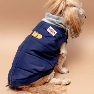 Warm Up Harness Jacket in Navy((FINAL SALE))