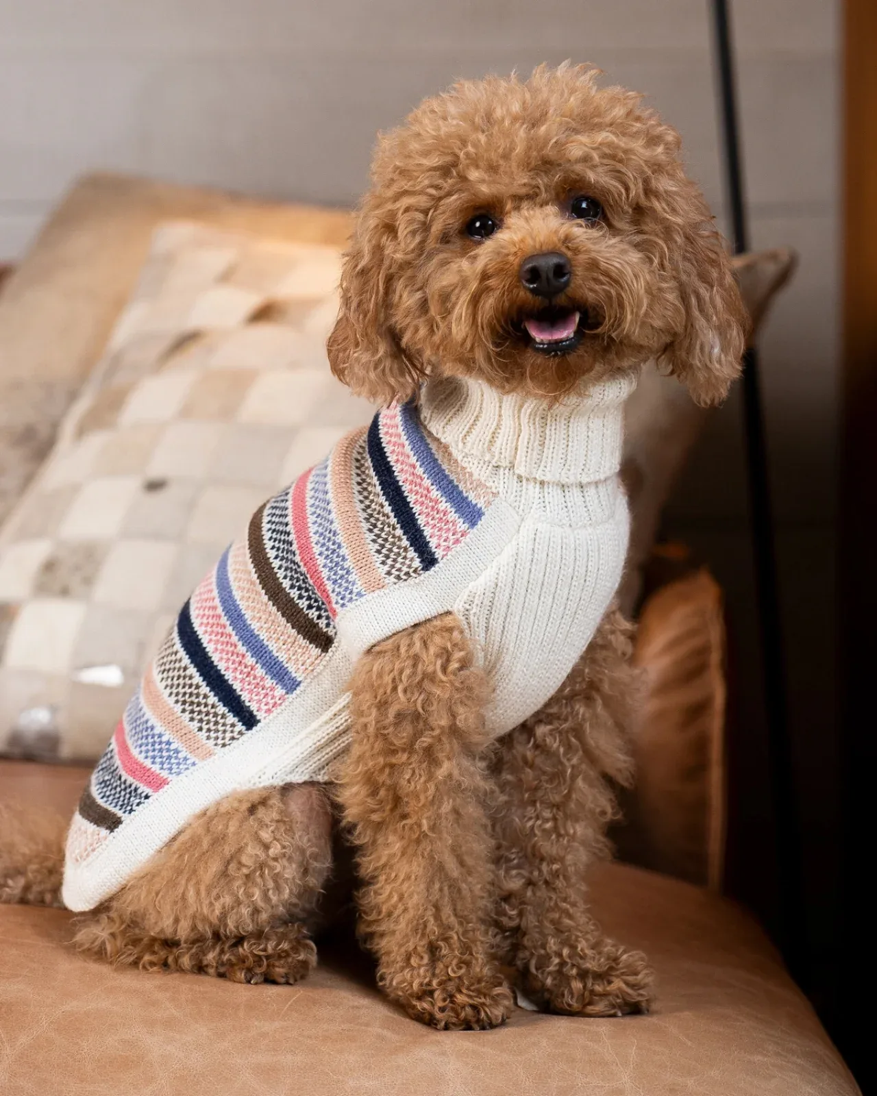 Blushline Stripe Alpaca Dog Sweater (FINAL SALE) - Image 2