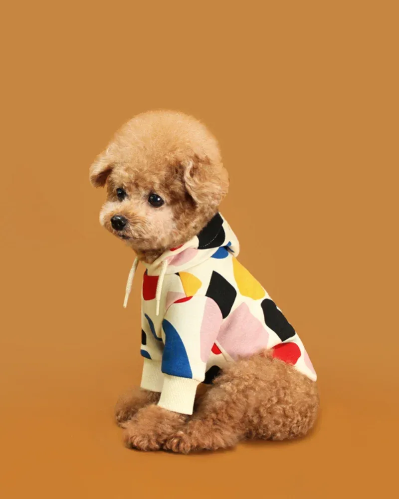 Colorful Design Dog Hoodie in Ivory - Image 2