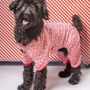 Candy Cane Dog Pajamas (FINAL SALE)