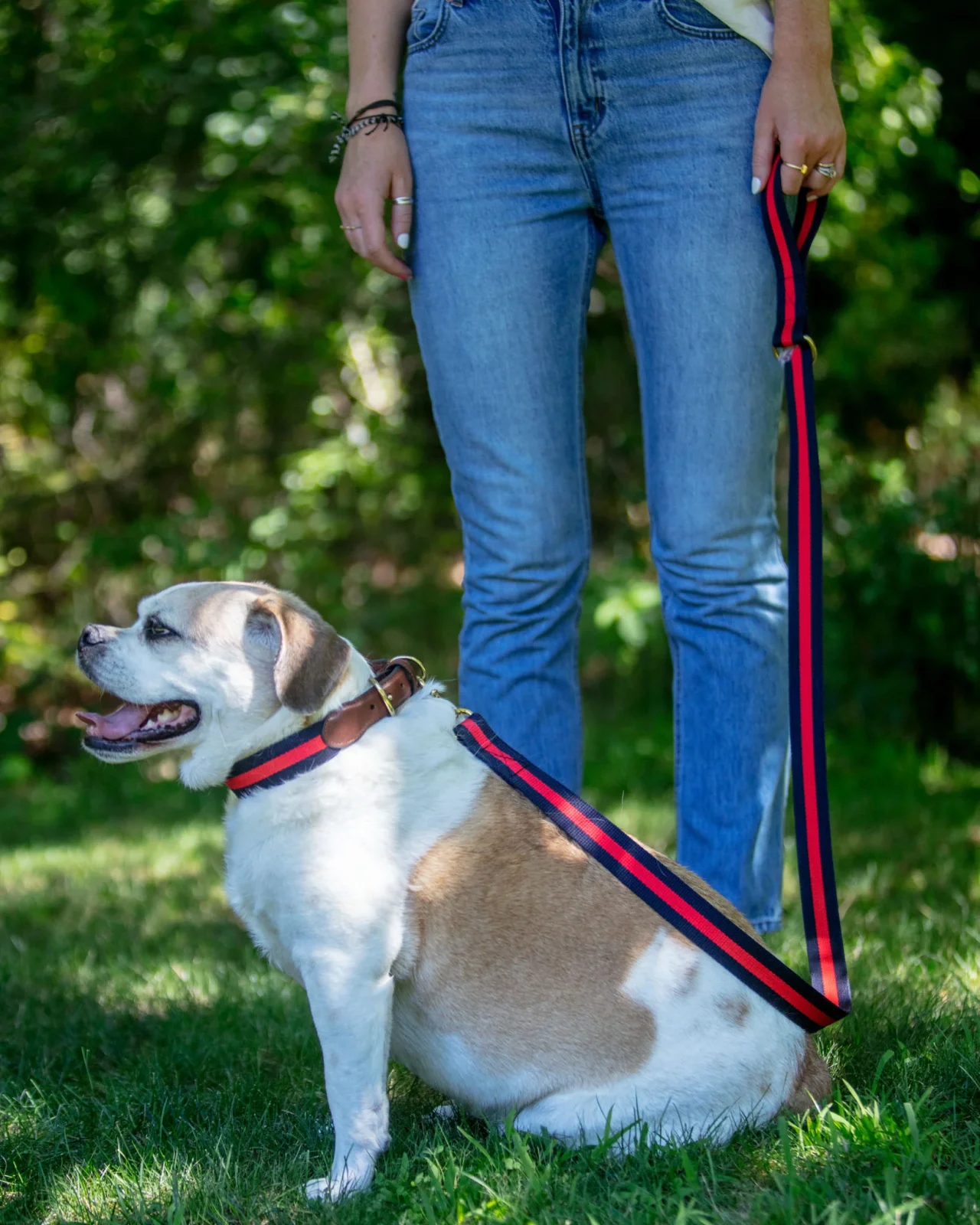 Navy & Red Stripe Dog Leash (Made in the USA) - Image 2
