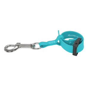 Safety Tether Teal by Jelly Pet