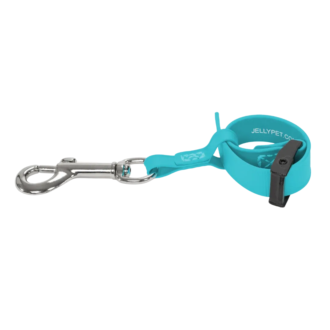 Safety Tether Teal by Jelly Pet