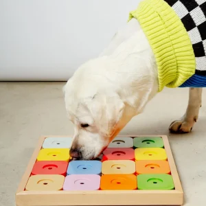 Sudoku Dog Treat Puzzle Game in Rainbow Edition (16 squares)