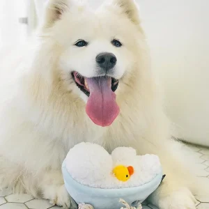 Rub-A-Dub-Tub Squeaky Plush Dog Toy