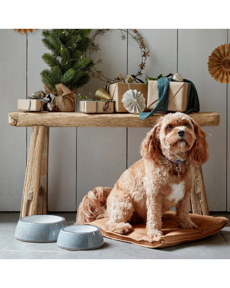 Ceramic Pet Bowl in Studio Grey (Made in England) - Image 2