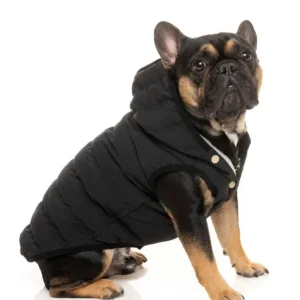 Black Aspen Puffer Dog Jacket <>