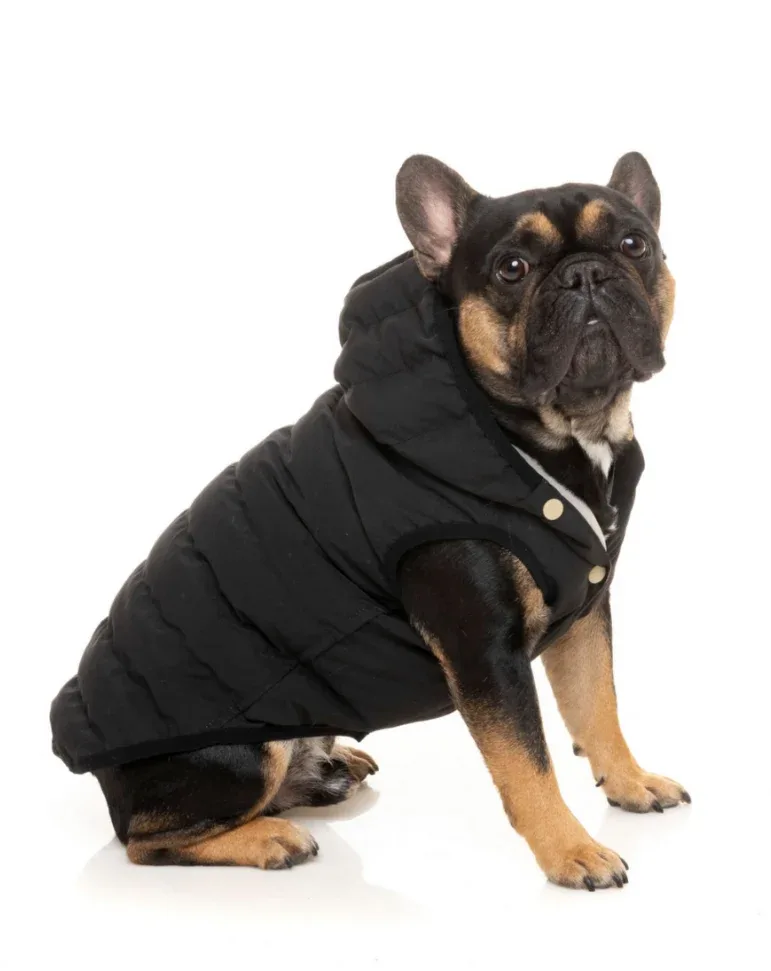 Black Aspen Puffer Dog Jacket <>