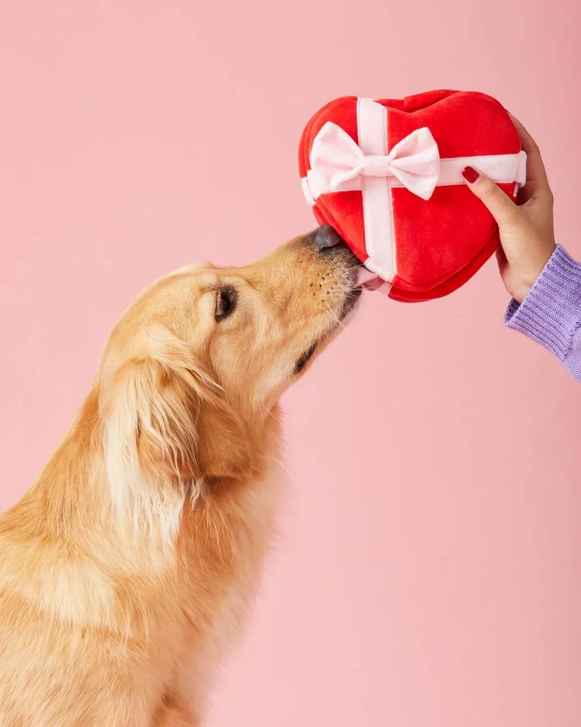 My Sweetest Heart Snuffle Dog Toy