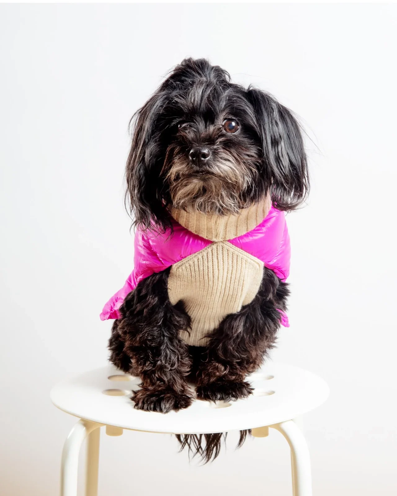 The Puffer Dog Sweater in Tan & Pink - Image 2
