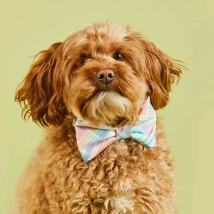 Blooming Plaid Dog Bow Tie (FINAL SALE)