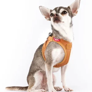 The Apple Leather Vest Harness for Dogs in Brown