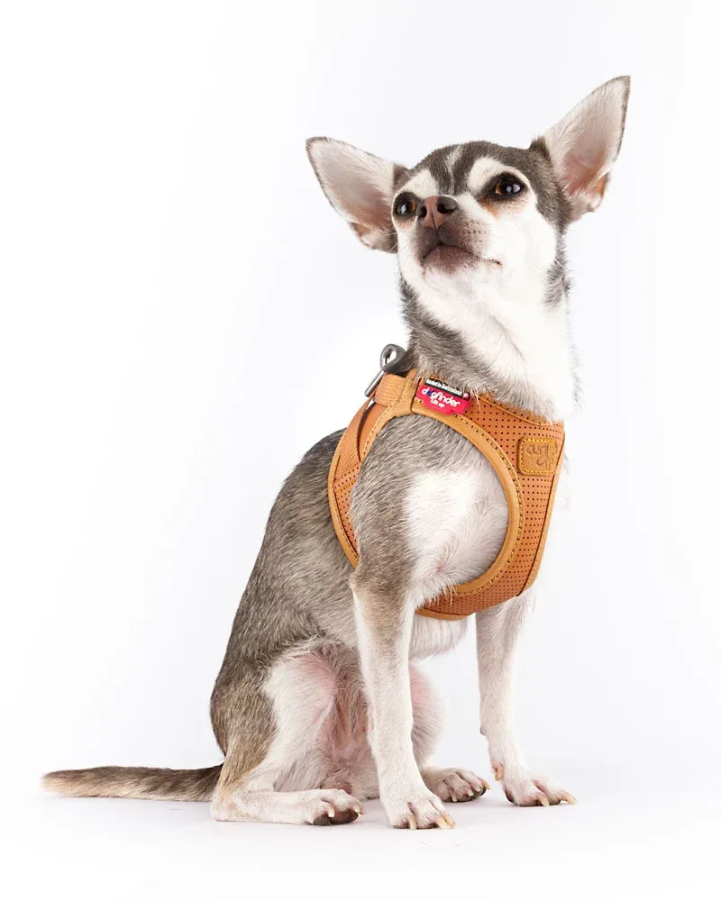 The Apple Leather Vest Harness for Dogs in Brown