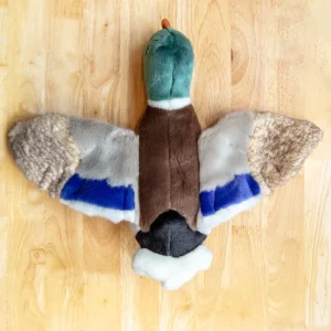 Wally Mallard Squeaky Plush Dog Toy