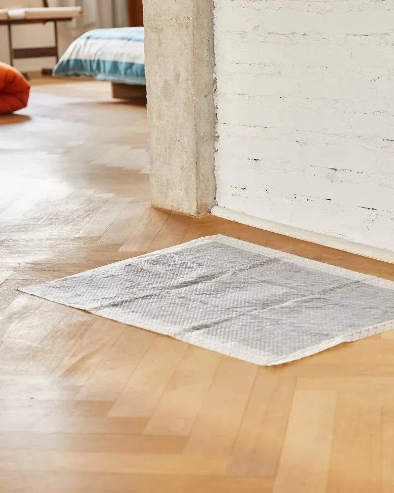 Zee Pad Pee Pad for Dogs