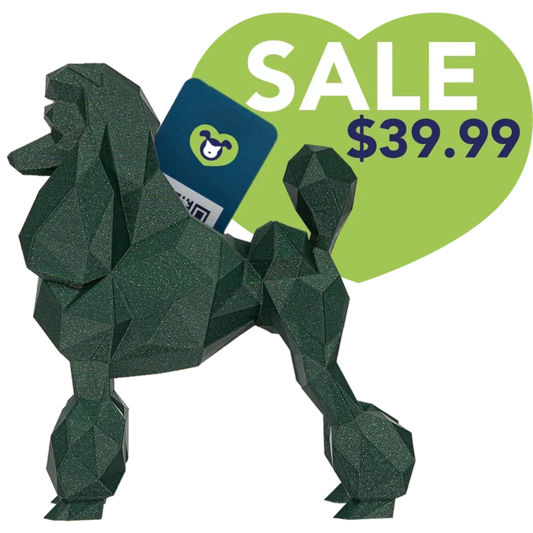 Poodle Business Card Holder Silk Blue Green by Kumpe3D