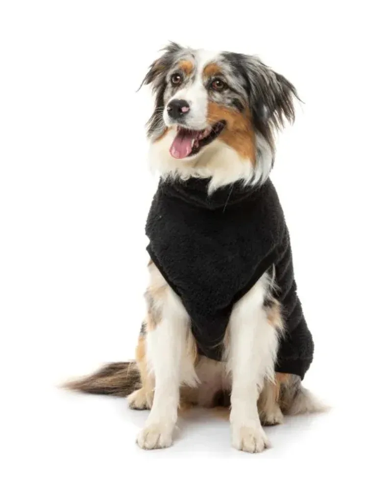 Turtle Teddy Dog Fleece in Carbon Black (FINAL SALE)