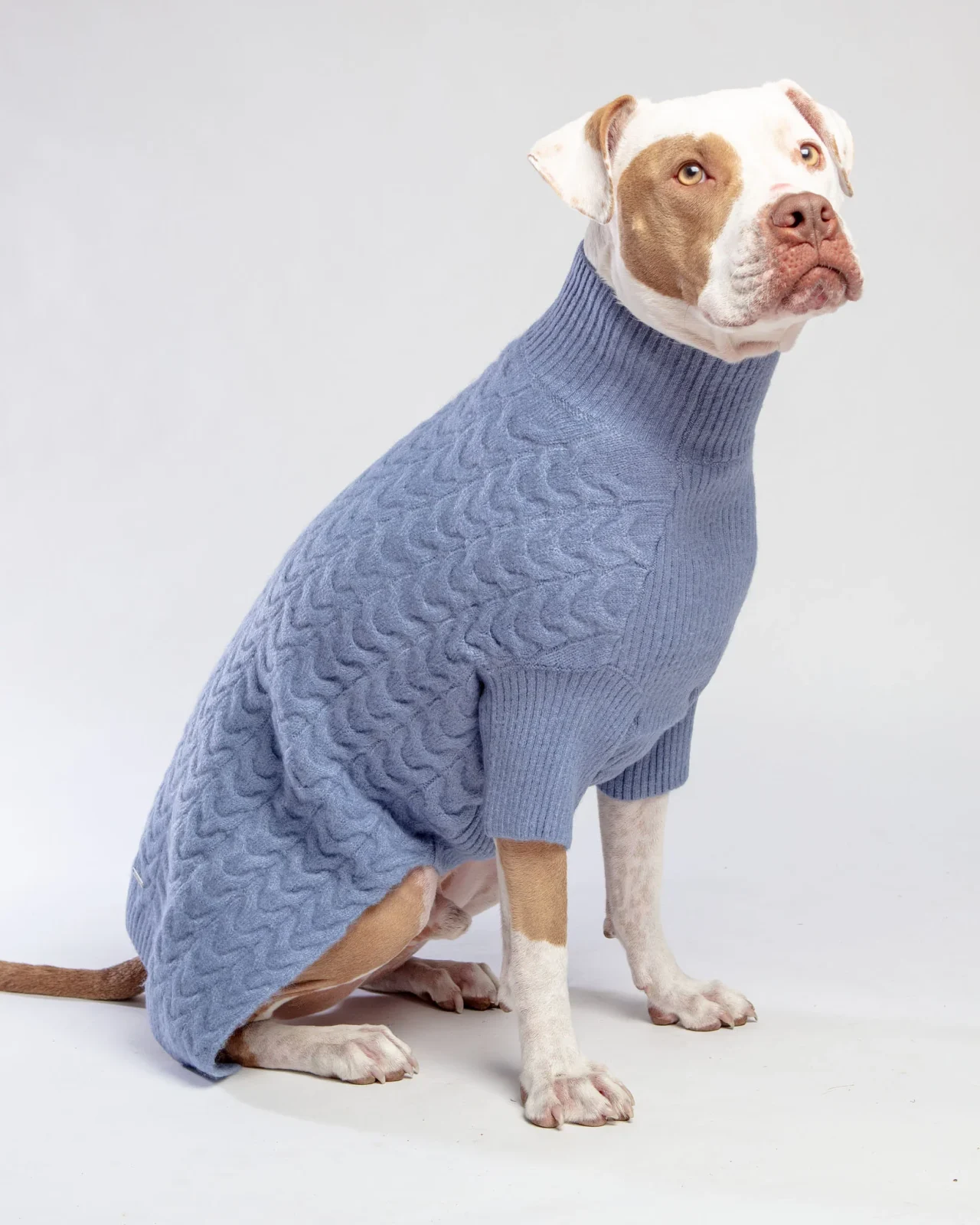 Fuzzy Knit Dog Turtleneck Sweater in Moonstone Blue <>