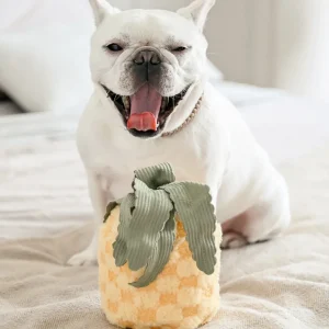 Pineapple Enrichment Plush Dog Toy