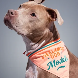 Freelance Dog Model Bandana (FINAL SALE)