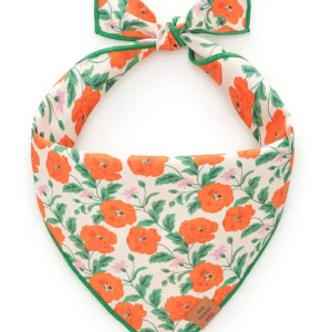 Golden Poppies Dog Bandana (Made in the USA) (FINAL SALE)