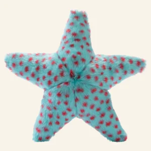 Ally The Starfish Crinkle Plush Dog Toy (FINAL SALE)