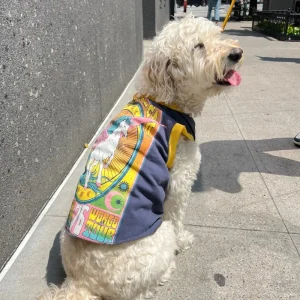 Recycled Vintage Dog Tee (Made in the USA) (CLEARANCE)