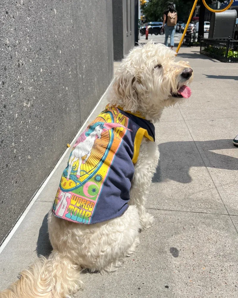 Recycled Vintage Dog Tee (Made in the USA) (CLEARANCE)