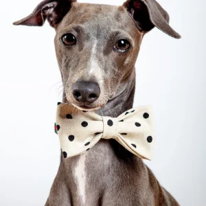 Canvas Dog Bow Tie In Polka Dot(Made in the USA)