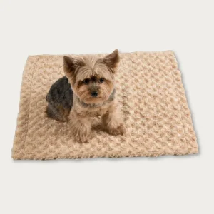 Small Cuddle Minky Blanket in Camel (Made in the USA)