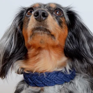 Seaside Cotton Woven Rope Dog Collar in Navy