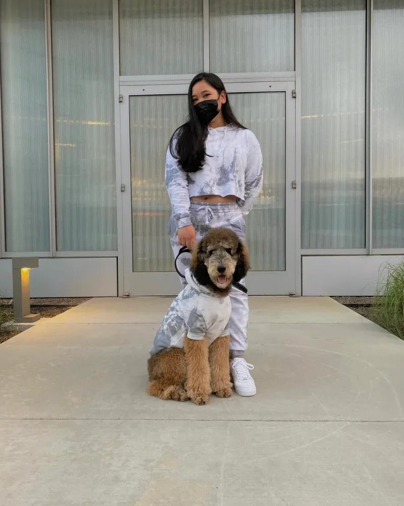 Tie Dye Dog Hoodie in Grey & White (FINAL SALE) - Image 2