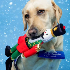 The Nutcracker Crinkly Plush Dog Toy