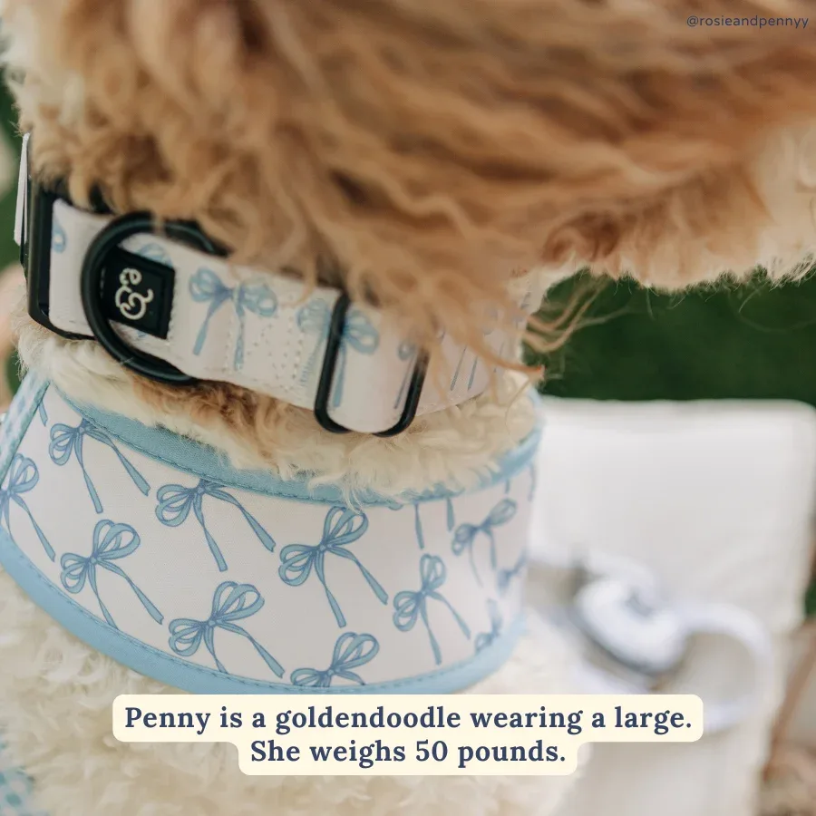 Bowwow Wow! Collar - Image 2
