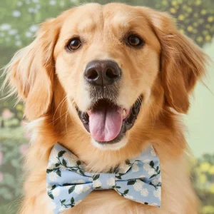 Rifle Paper Co. X TFD Hydrangea Dog Bow Tie (Made in the USA)