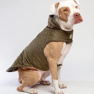 Reversible Camo Quilted Dog Coat <>
