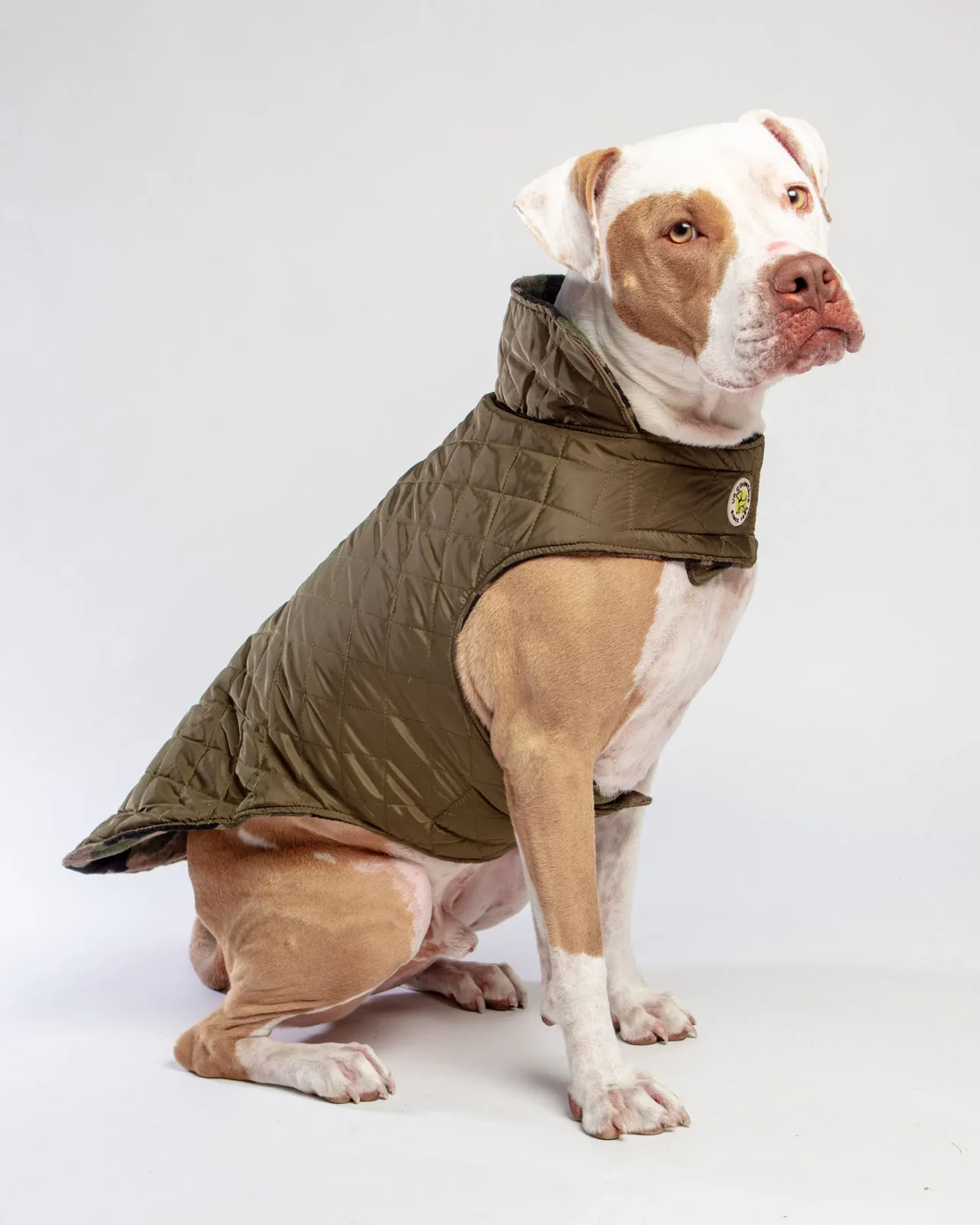 Reversible Camo Quilted Dog Coat <>