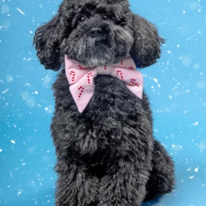Blush Pink Embroidered Candy Canes Lady Dog Bow (Made in the USA)