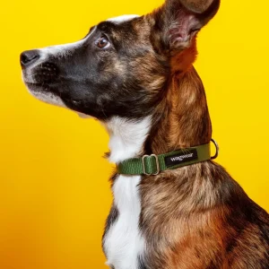 Nylon Metropolitan Collar in Olive Green (Made in the USA)