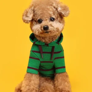 Stripe Dog Hoodie (FINAL SALE)