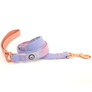 Standard Dog Leash in Cotton Candy