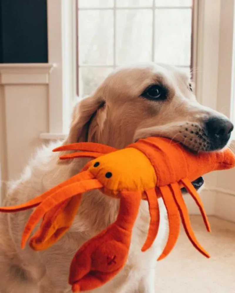 Lobster Interactive & Snuffle Dog Toy - Image 2