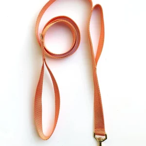 Double-Handle Leash / Traffic Leash (Made in the USA) (FINAL SALE)