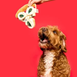 Pizza Nosework Toy for Dogs