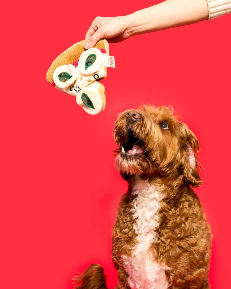 Pizza Nosework Toy for Dogs