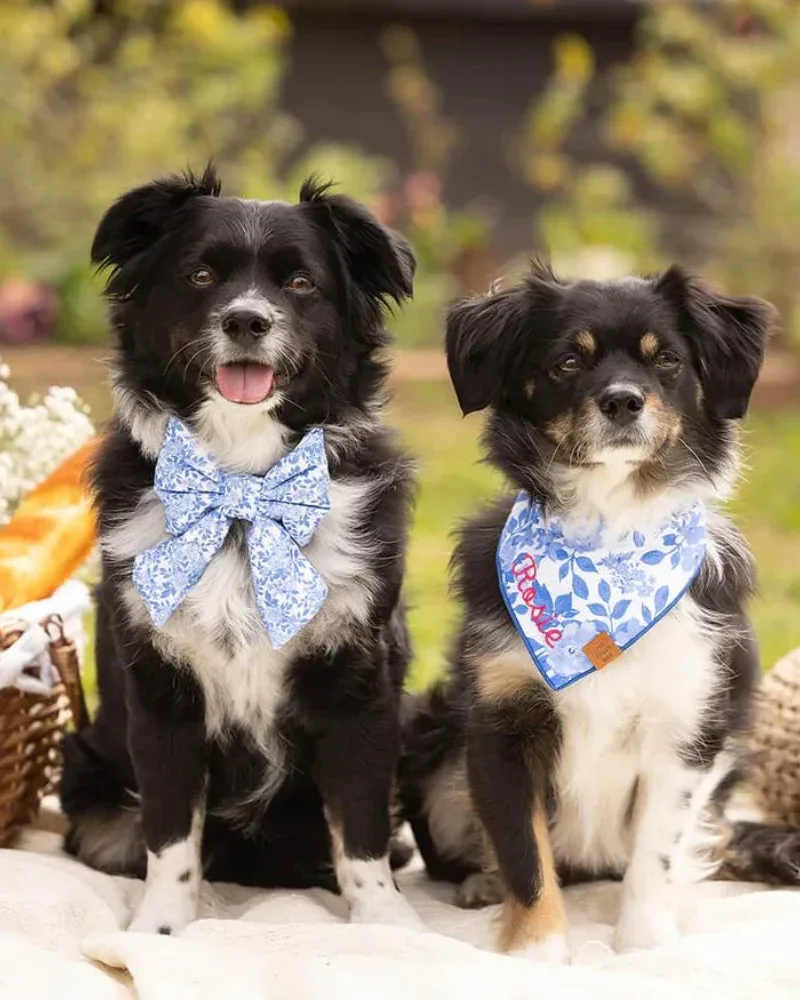 Blue Roses Spring Lady Dog Bow (FINAL SALE) - Image 2