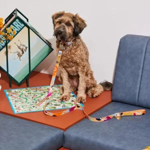 Snakes & Ladders Leather Dog Leash