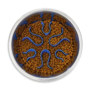 Fun Feeder Stainless Steel Slow Feeder Dog Bowl